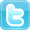 TWITTER ICON